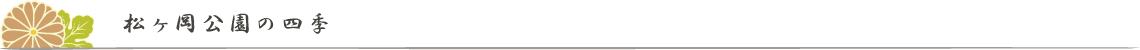 松ヶ岡公園の四季