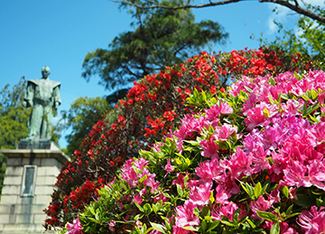 春の松ヶ岡公園
