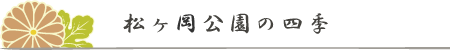 松ヶ岡公園の四季